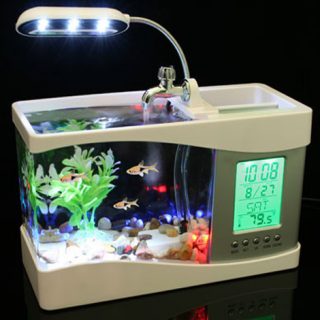 USB Bureau aquarium